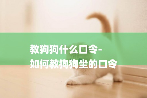 教狗狗什么口令-
如何教狗狗坐的口令