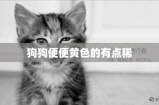 狗狗便便黃色的有點稀