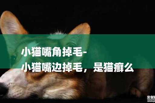 小貓嘴角掉毛-
小貓嘴邊掉毛，是貓癬么