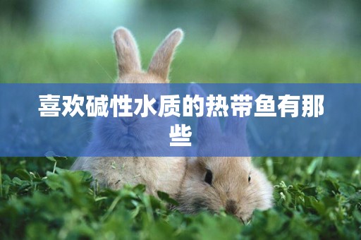 喜歡堿性水質的熱帶魚有那些