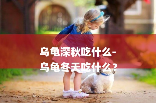 烏龜深秋吃什么-
烏龜冬天吃什么？
