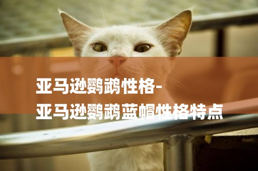 亞馬遜鸚鵡性格-
亞馬遜鸚鵡藍帽性格特點