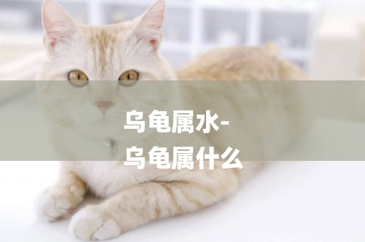 烏龜屬水-
烏龜屬什么