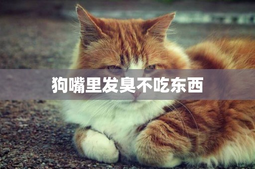 狗嘴里發臭不吃東西