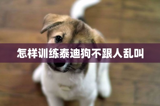 怎樣訓練泰迪狗不跟人亂叫