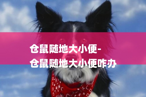 倉鼠隨地大小便-
倉鼠隨地大小便咋辦