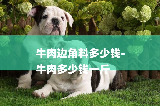 牛肉邊角料多少錢-
牛肉多少錢一斤