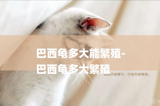 巴西龜多大能繁殖-
巴西龜多大繁殖