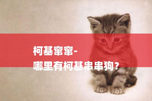 柯基竄竄-
哪里有柯基串串狗？