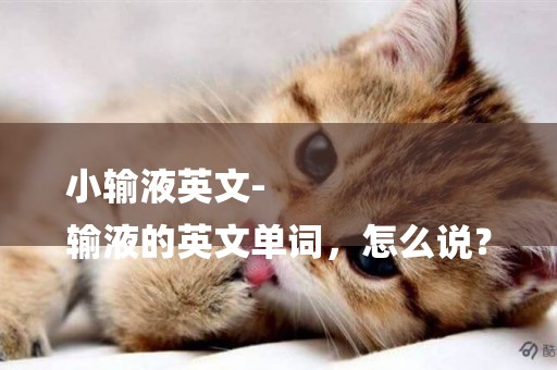 小輸液英文-
輸液的英文單詞，怎么說？