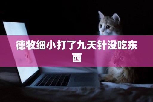 德牧細小打了九天針沒吃東西