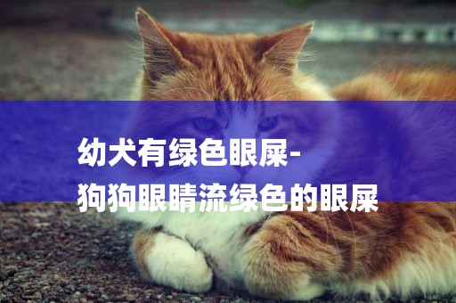幼犬有綠色眼屎-
狗狗眼睛流綠色的眼屎