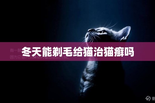 冬天能剃毛給貓治貓癬嗎