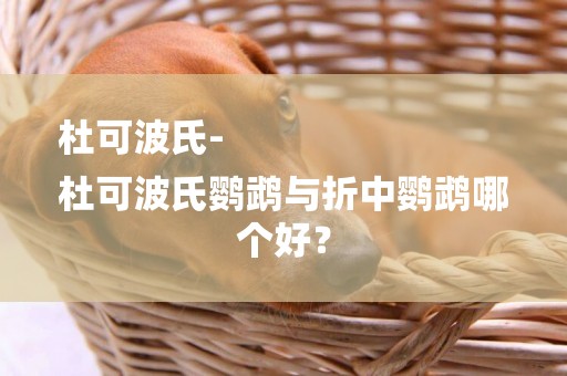 杜可波氏-
杜可波氏鸚鵡與折中鸚鵡哪個好？