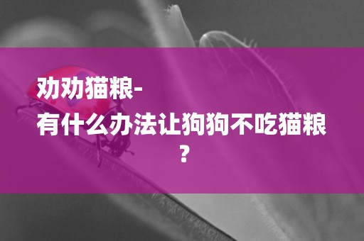 勸勸貓糧-
有什么辦法讓狗狗不吃貓糧？