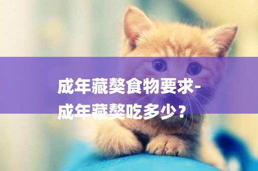 成年藏獒食物要求-
成年藏獒吃多少？