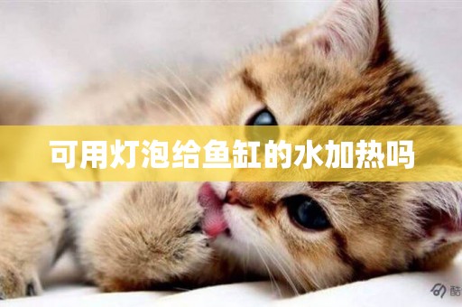 可用燈泡給魚缸的水加熱嗎