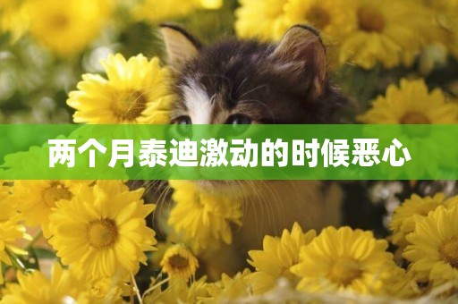 兩個月泰迪激動的時候惡心