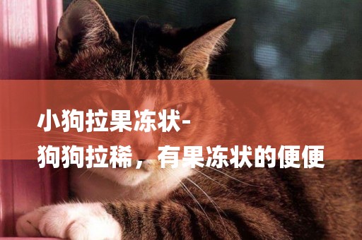小狗拉果凍狀-
狗狗拉稀，有果凍狀的便便