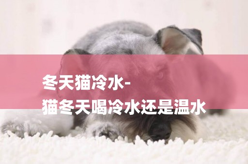 冬天貓冷水-
貓冬天喝冷水還是溫水