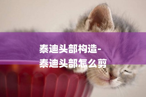 泰迪頭部構造-
泰迪頭部怎么剪