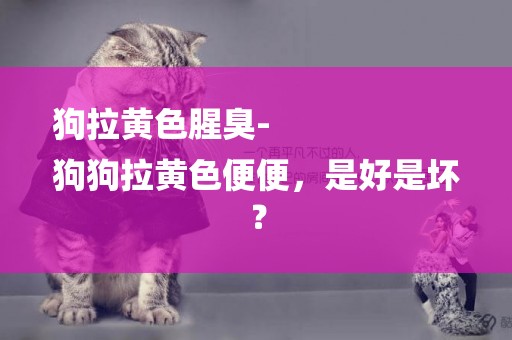 狗拉黃色腥臭-
狗狗拉黃色便便，是好是壞？