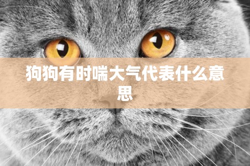 狗狗有時喘大氣代表什么意思