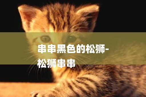 串串黑色的松獅-
松獅串串
