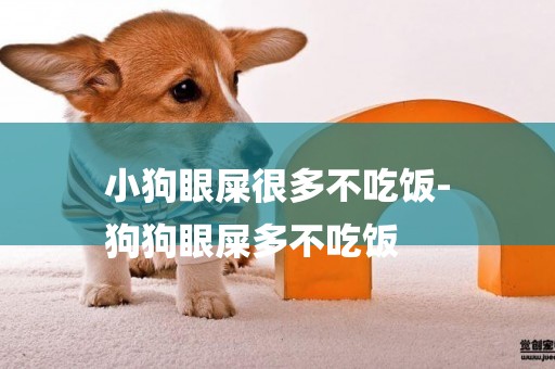 小狗眼屎很多不吃飯-
狗狗眼屎多不吃飯