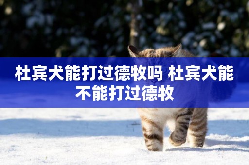 杜賓犬能打過德牧嗎 杜賓犬能不能打過德牧