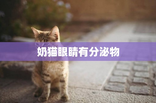 奶貓眼睛有分泌物