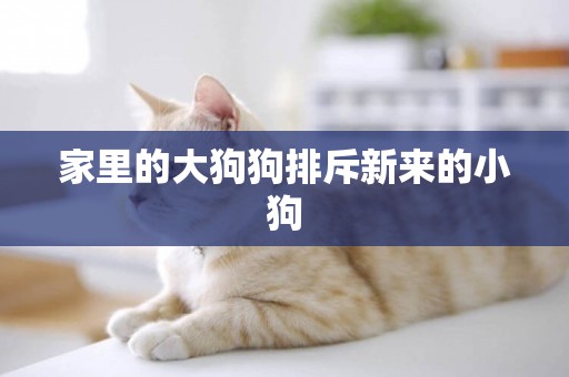 家里的大狗狗排斥新來的小狗