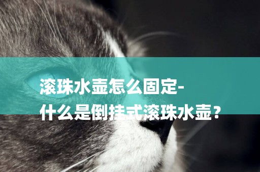 滾珠水壺怎么固定-
什么是倒掛式滾珠水壺？