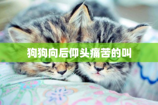 狗狗向后仰頭痛苦的叫