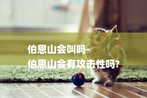 伯恩山會叫嗎-
伯恩山會有攻擊性嗎?