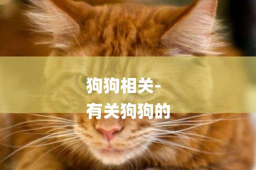狗狗相關-
有關狗狗的