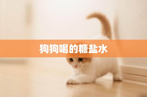 狗狗喝的糖鹽水