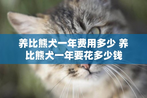 養比熊犬一年費用多少 養比熊犬一年要花多少錢