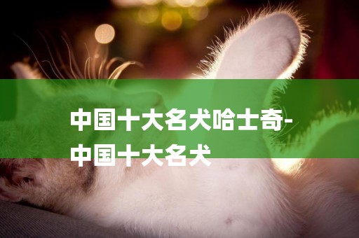 中國十大名犬哈士奇-
中國十大名犬
