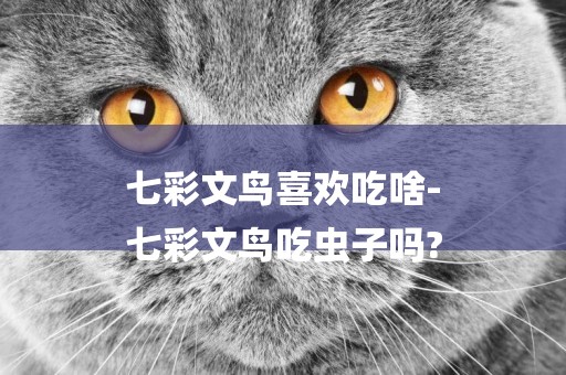 七彩文鳥喜歡吃啥-
七彩文鳥吃蟲子嗎?