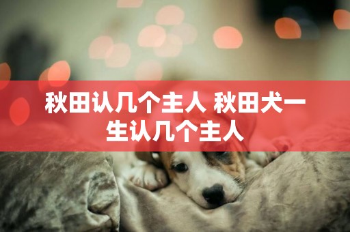 秋田認幾個主人 秋田犬一生認幾個主人