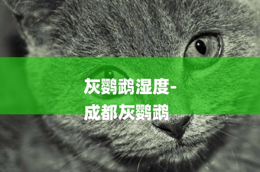 灰鸚鵡濕度-
成都灰鸚鵡