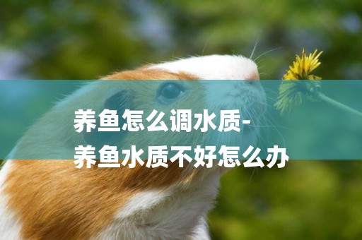 養魚怎么調水質-
養魚水質不好怎么辦