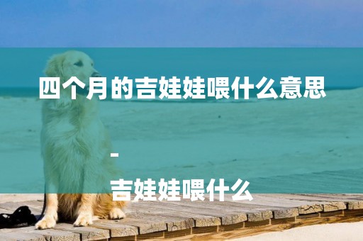 四個月的吉娃娃喂什么意思-
吉娃娃喂什么