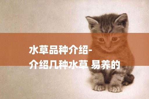 水草品種介紹-
介紹幾種水草 易養的