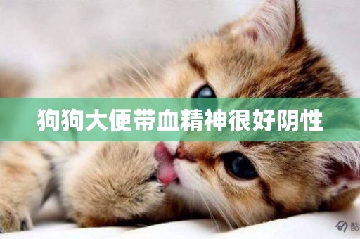 狗狗大便帶血精神很好陰性