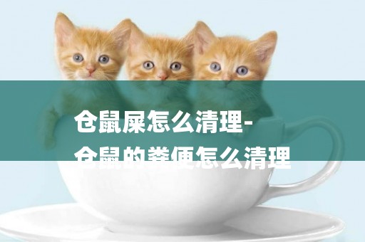 倉鼠屎怎么清理-
倉鼠的糞便怎么清理