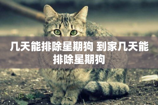 幾天能排除星期狗 到家幾天能排除星期狗