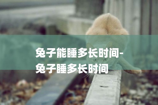 兔子能睡多長時間-
兔子睡多長時間