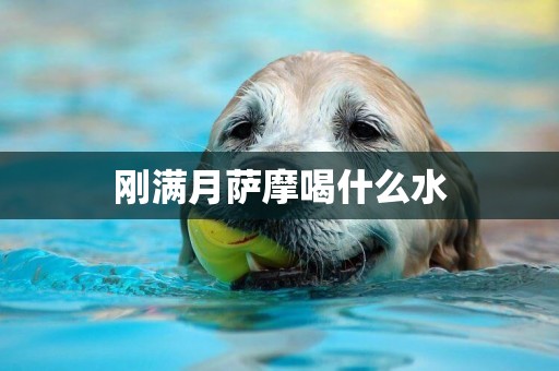 剛滿月薩摩喝什么水